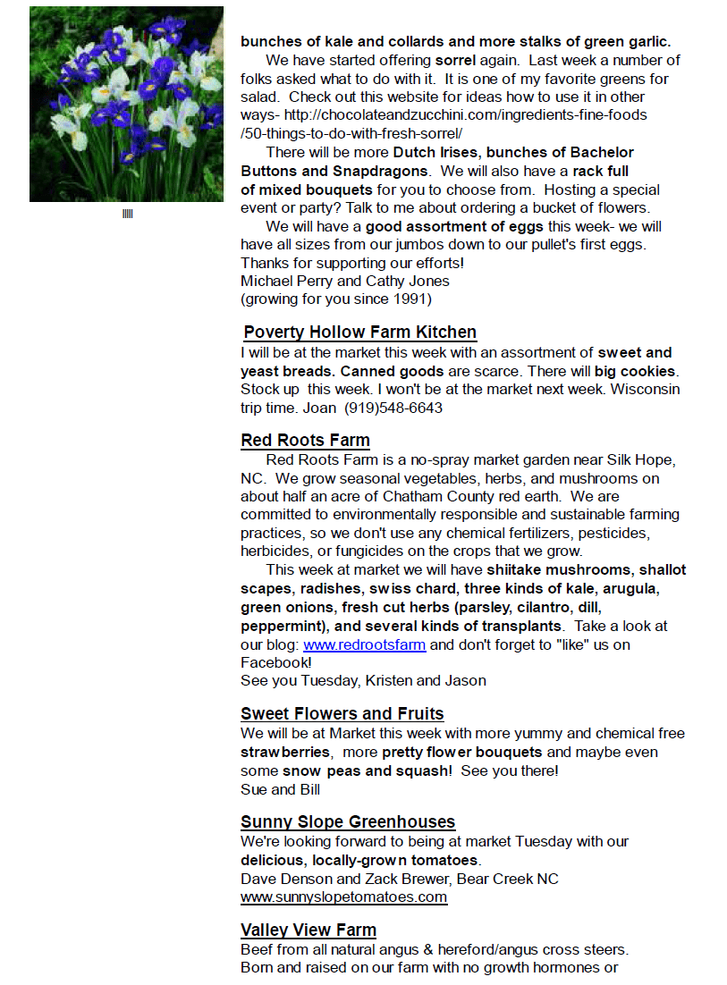 newsletter_20150519_7