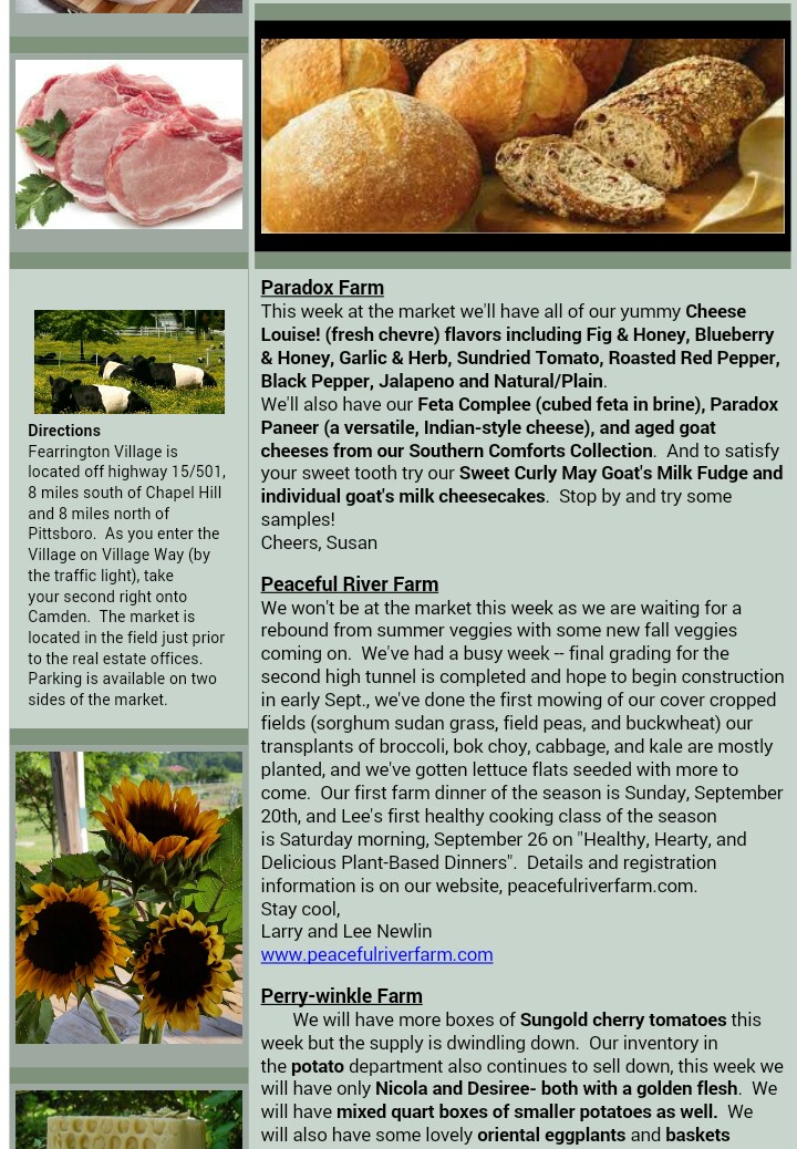 newsletter_20150818_6