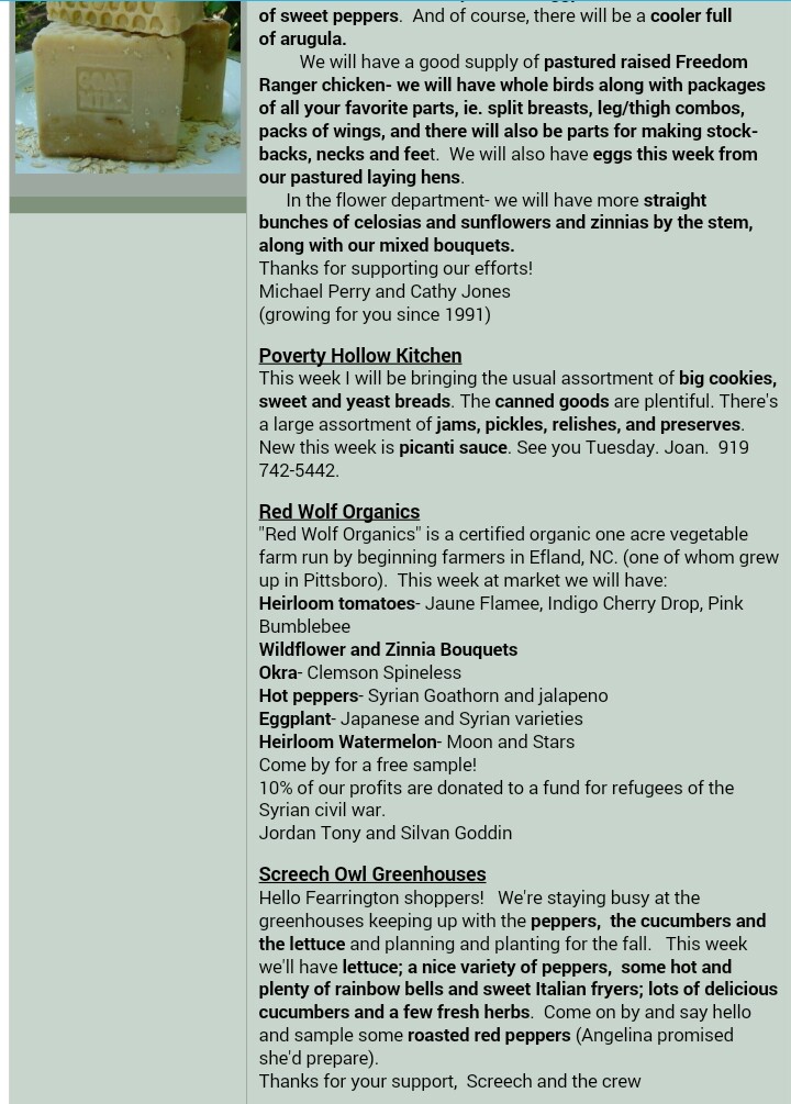 newsletter_20150818_7