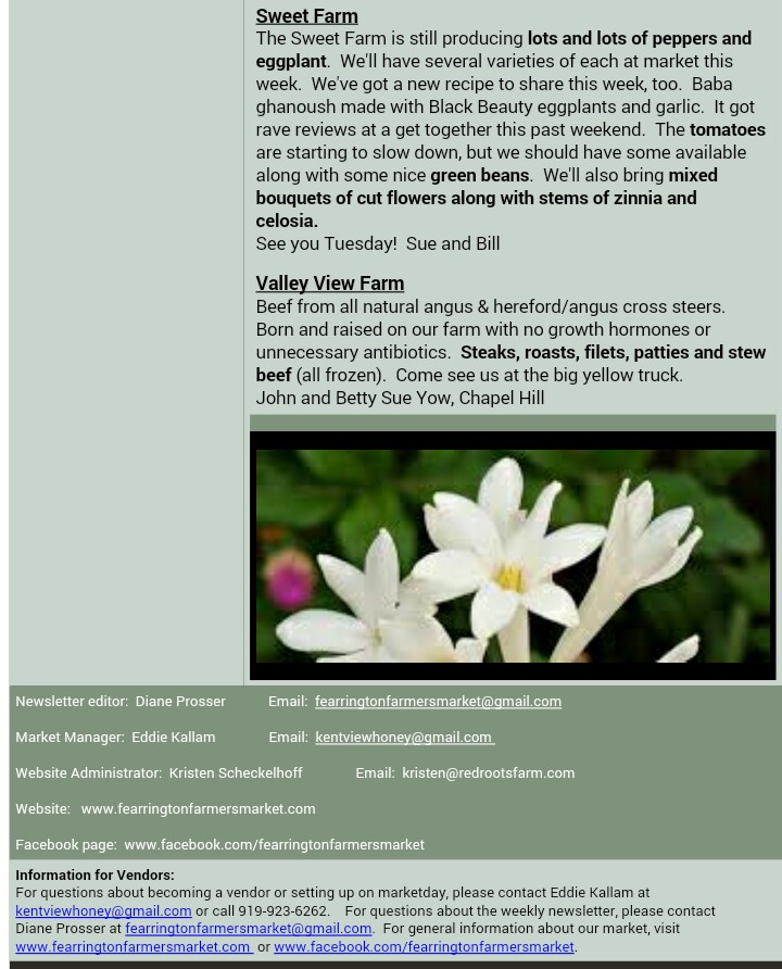 newsletter_20150818_8