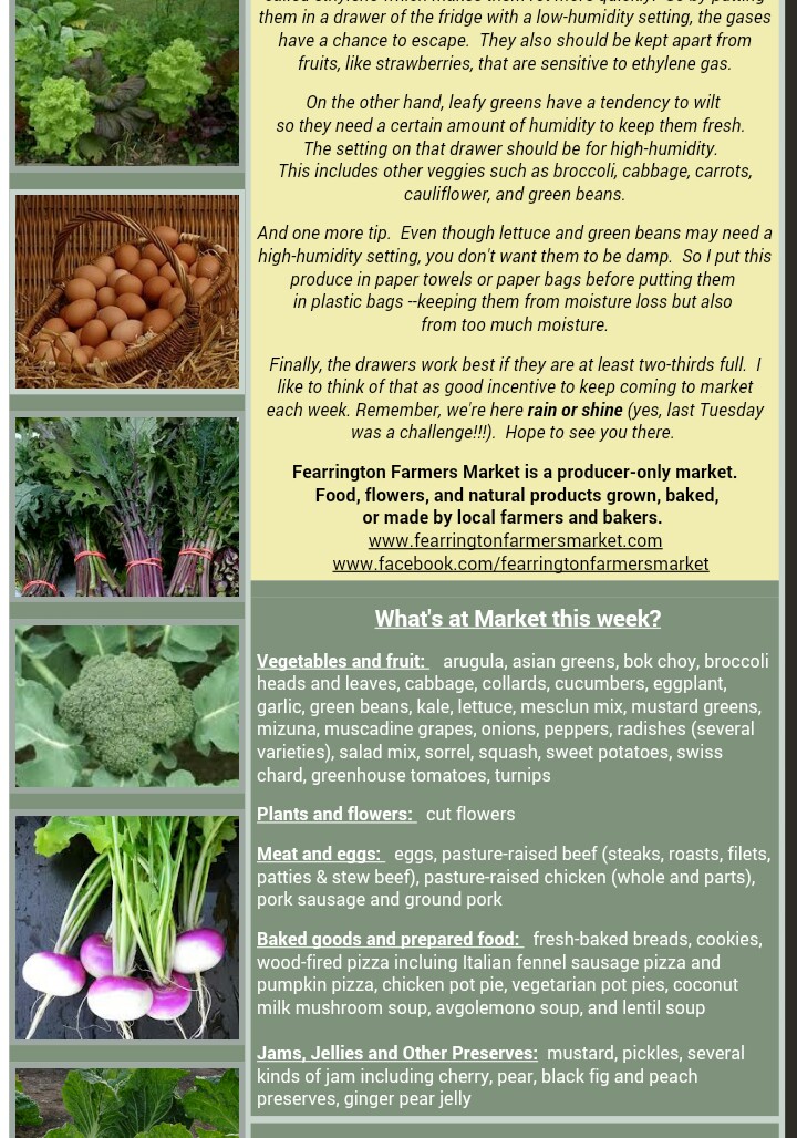 newsletter_20151103_2