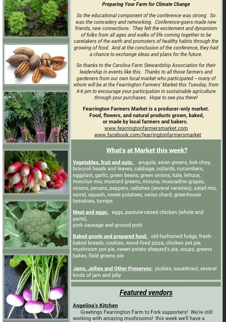 newsletter_20151110_2