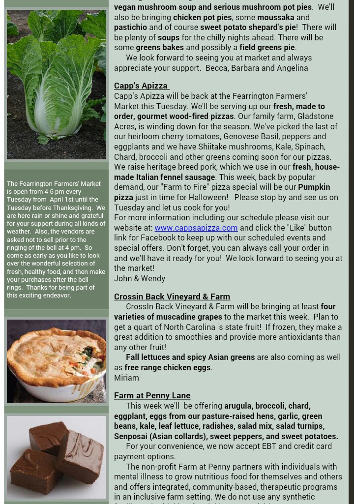 newsletter_20151110_3