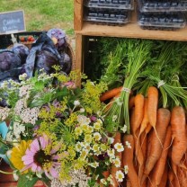 39b043e9-2019-4fa7-5d0c-ef39b5254c1a